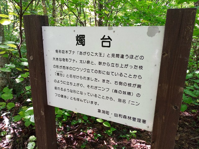 f:id:izumihudousan2007:20210919190029j:image