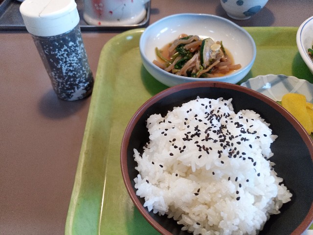 f:id:izumihudousan2007:20211023190820j:image f:id:izumihudousan2007:20211023190820j:image