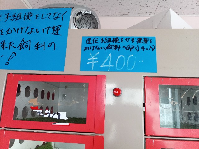 f:id:izumihudousan2007:20211111051451j:image f:id:izumihudousan2007:20211111051451j:image