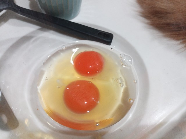 f:id:izumihudousan2007:20220122073256j:image f:id:izumihudousan2007:20220122073256j:image
