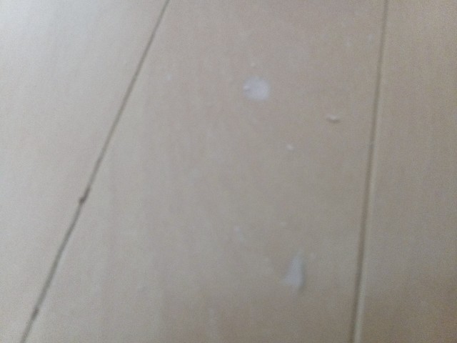 f:id:izumihudousan2007:20220122091906j:image