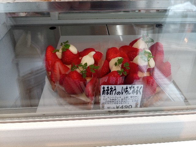 f:id:izumihudousan2007:20220125180737j:image