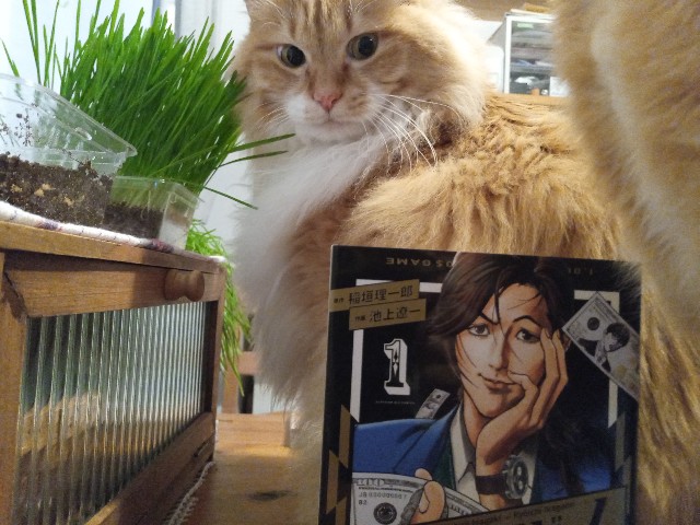 f:id:izumihudousan2007:20220128064300j:image f:id:izumihudousan2007:20220128064300j:image