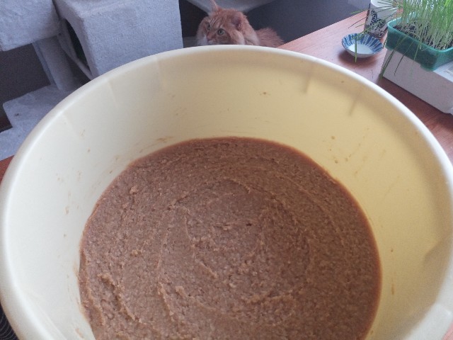 f:id:izumihudousan2007:20230219092829j:image