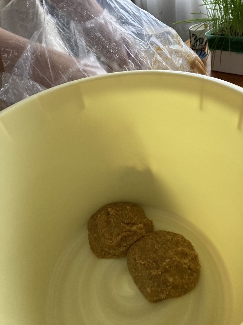 f:id:izumihudousan2007:20230219093138j:image