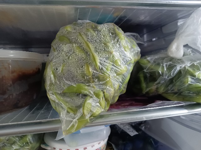 f:id:izumihudousan2007:20230726055337j:image f:id:izumihudousan2007:20230726055337j:image