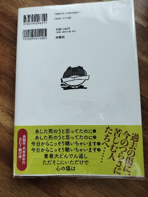 f:id:izumihudousan2007:20240710064357j:image