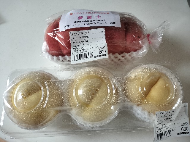 f:id:izumihudousan2007:20240812090312j:image