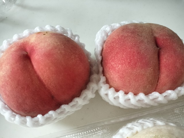 f:id:izumihudousan2007:20240813191622j:image