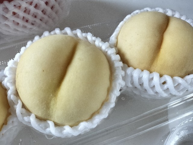 f:id:izumihudousan2007:20240813191644j:image