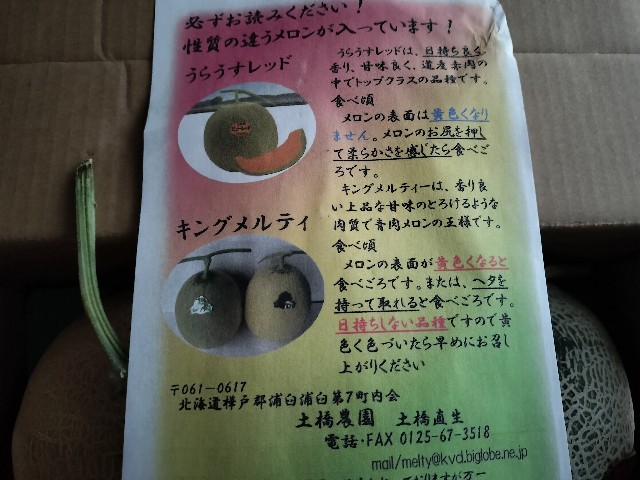 f:id:izumihudousan2007:20240815041020j:image