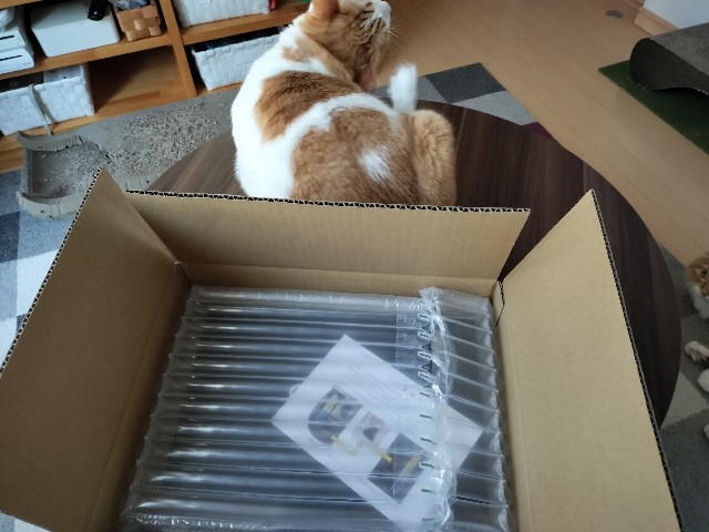 f:id:izumihudousan2007:20240904064854j:image f:id:izumihudousan2007:20240904064854j:image