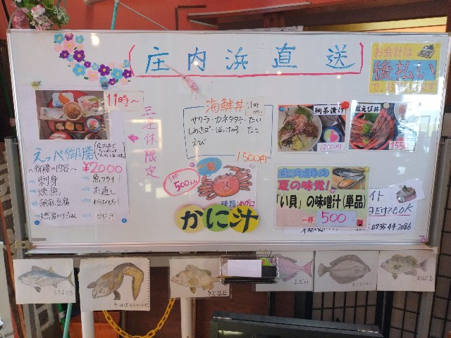 f:id:izumihudousan2007:20241014165134j:image