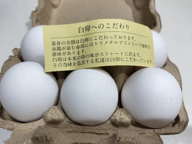 f:id:izumihudousan2007:20241027094938j:image