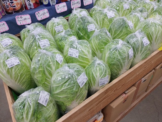 f:id:izumihudousan2007:20250126051112j:image