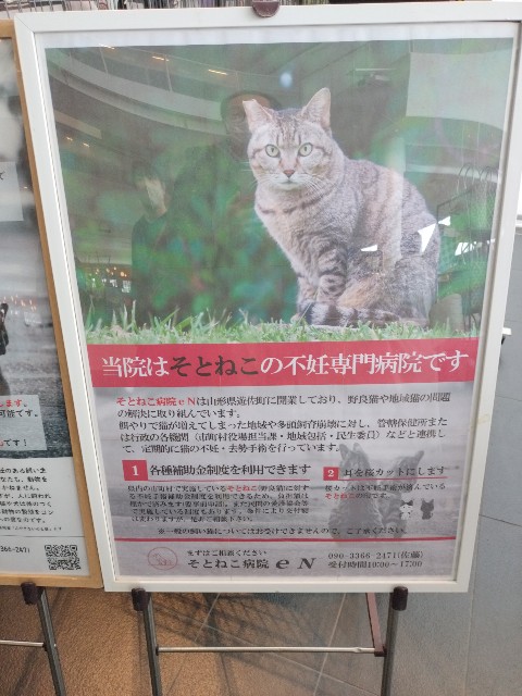 f:id:izumihudousan2007:20250223040424j:image