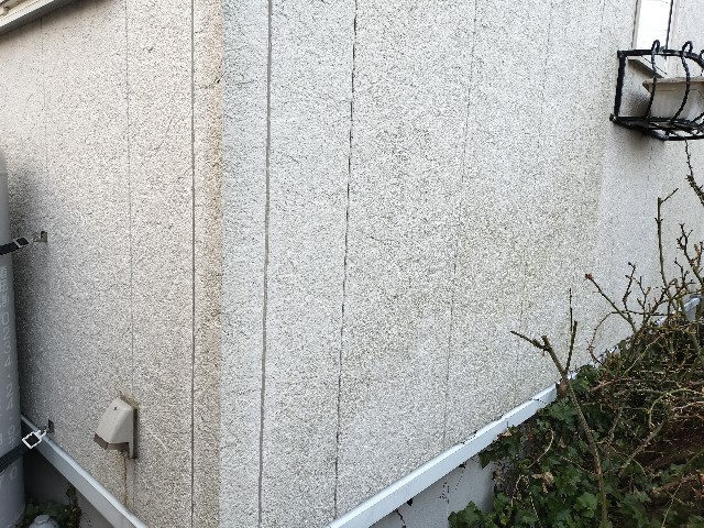 f:id:izumihudousan2007:20250325063723j:image