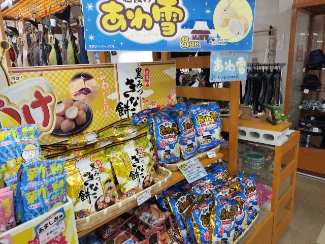 f:id:izumihudousan2007:20250414042229j:image