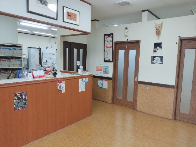 f:id:izumihudousan2007:20250427082029j:image