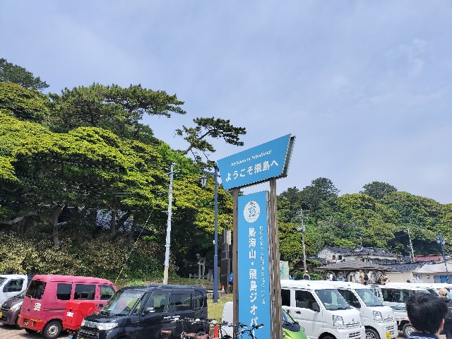 f:id:izumihudousan2007:20250609060719j:image