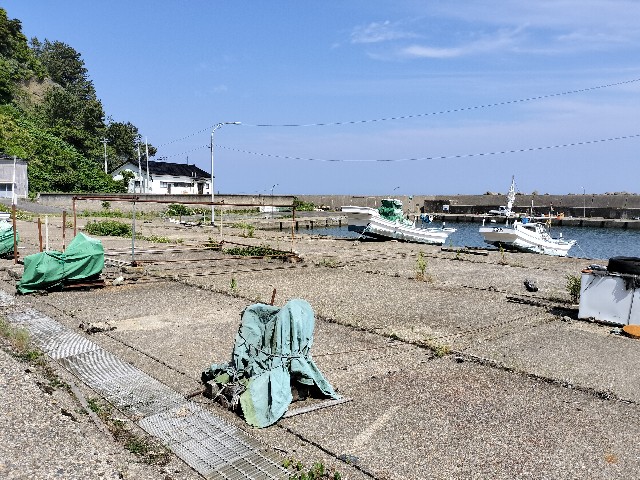 f:id:izumihudousan2007:20250609060741j:image