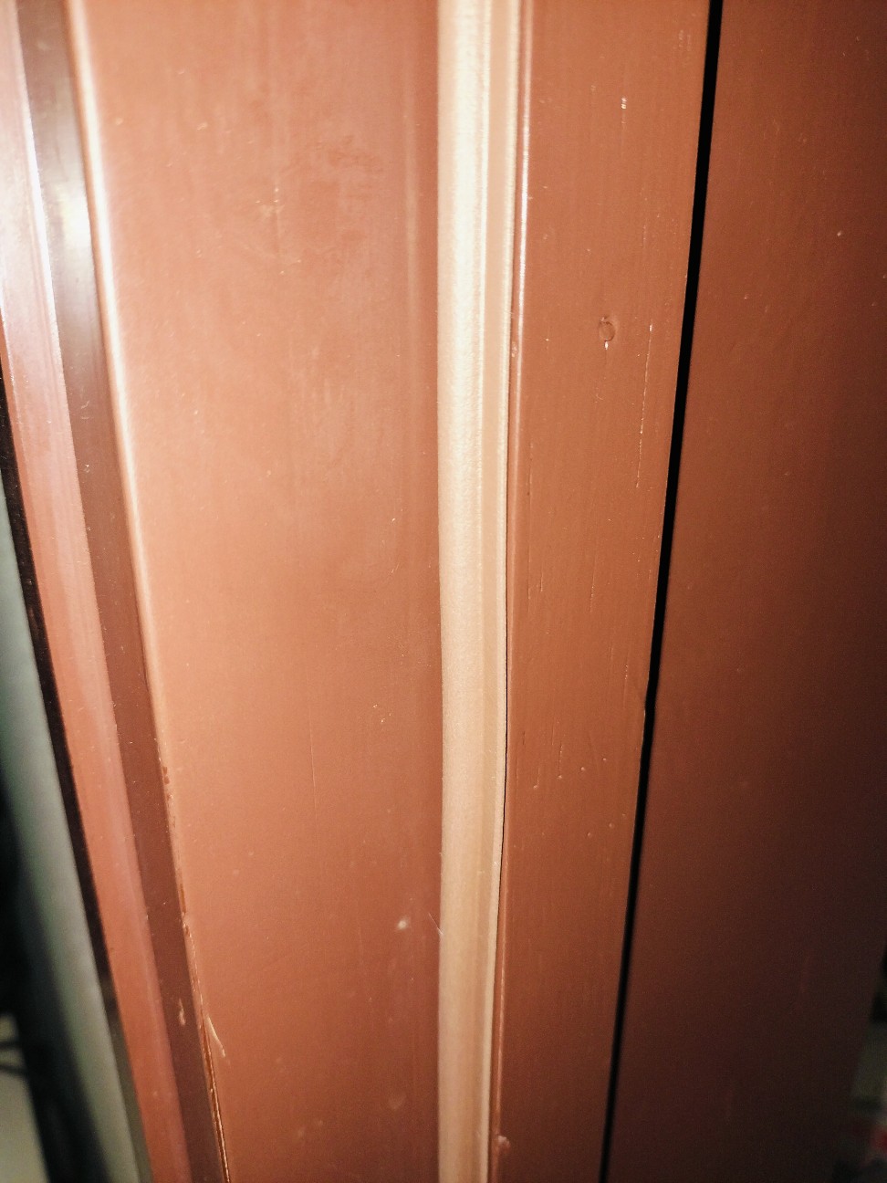 f:id:izumihudousan2007:20260520054549j:image
