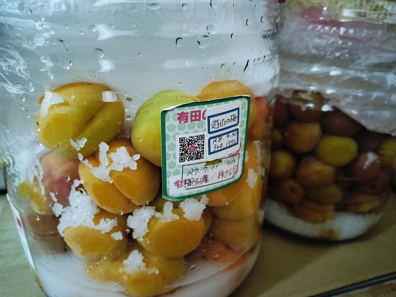 f:id:izumihudousan2007:20260704054918j:image f:id:izumihudousan2007:20260704054918j:image