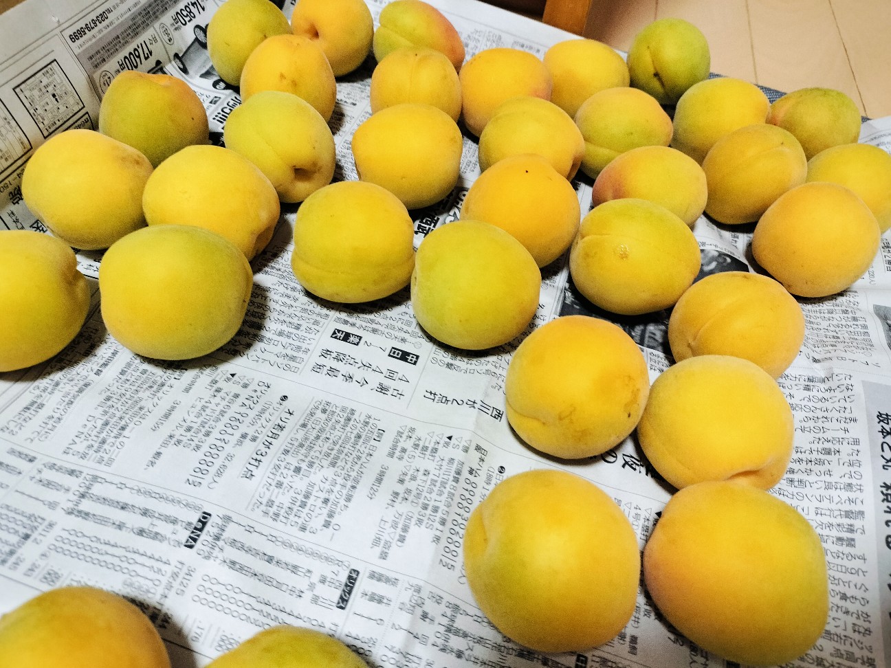 f:id:izumihudousan2007:20260713055619j:image