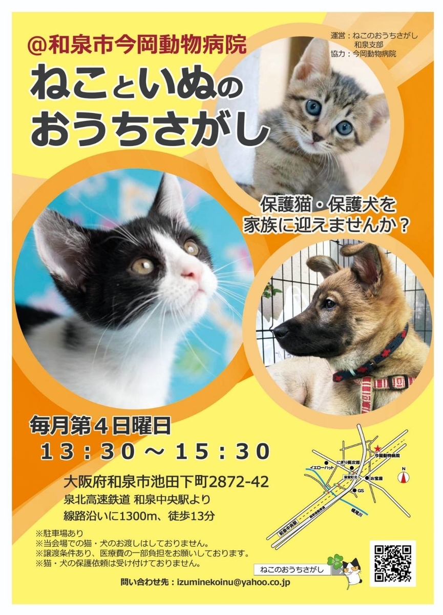 保護猫　譲渡会　ねこのおうちさがし