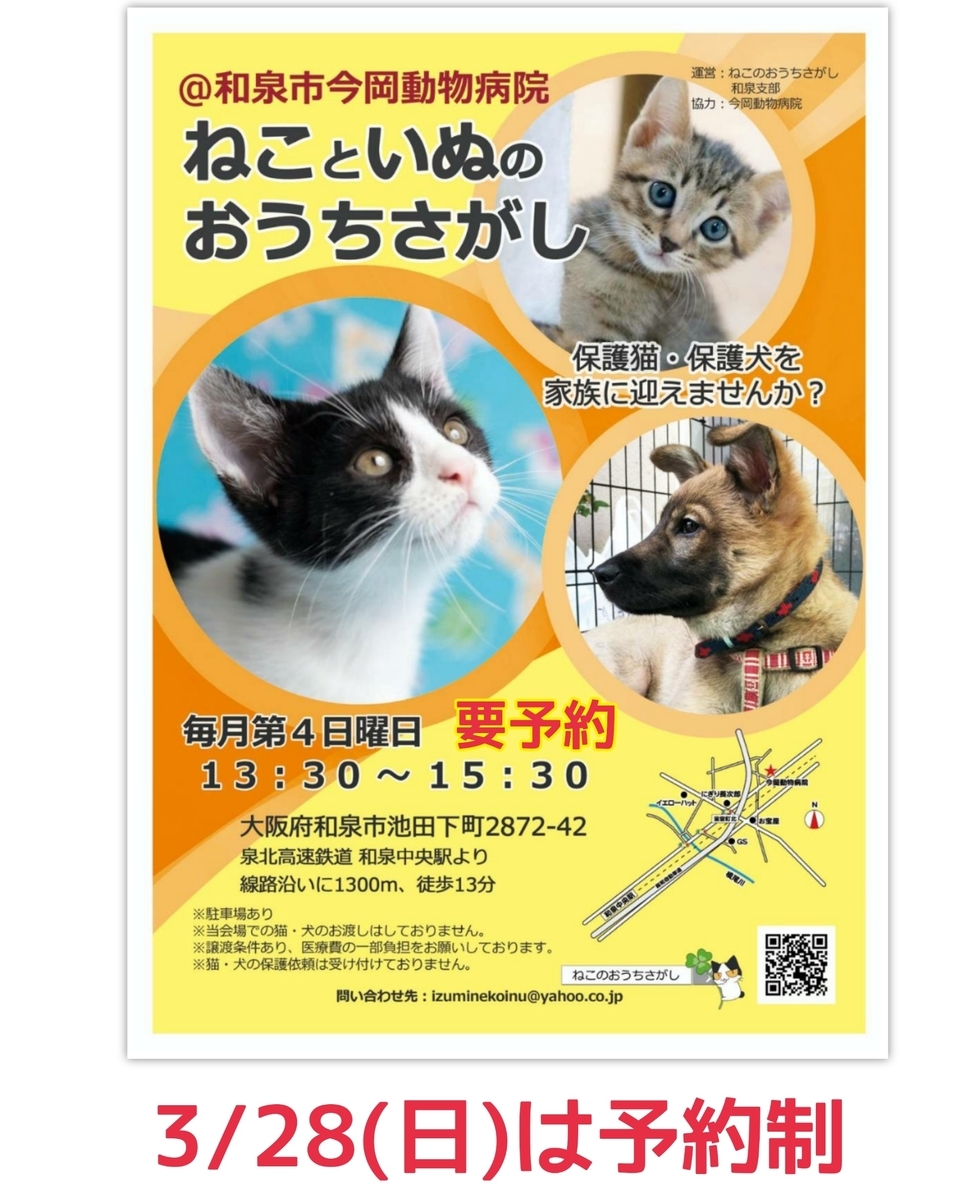 保護猫譲渡会