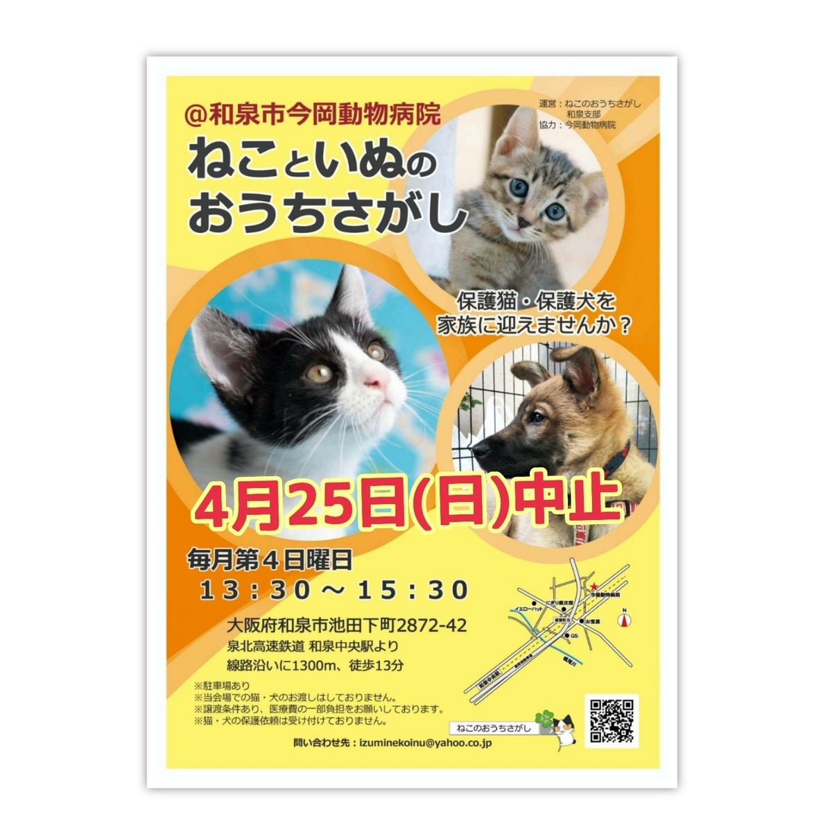 保護猫里親会