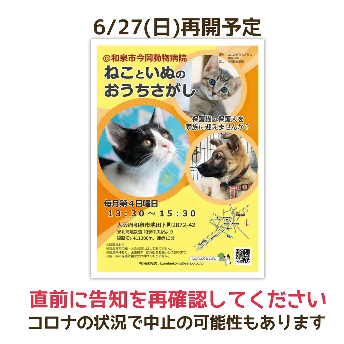 保護猫 里親会 譲渡会