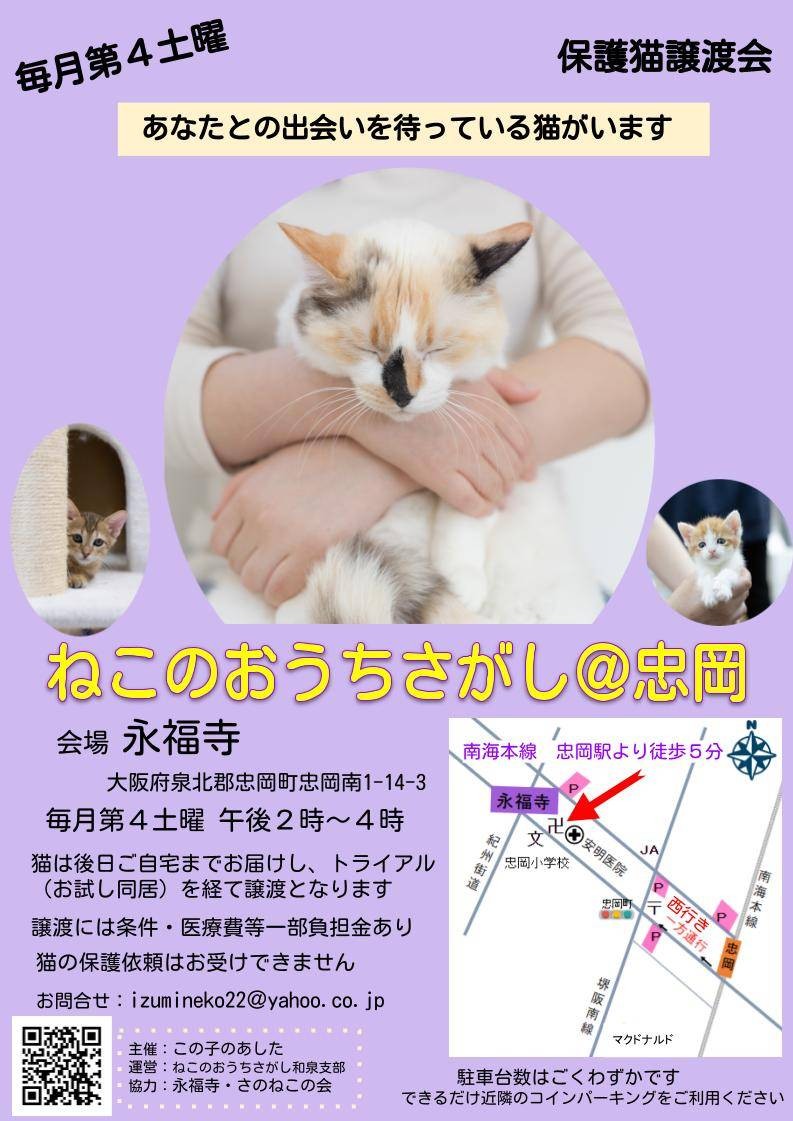 保護猫 譲渡会