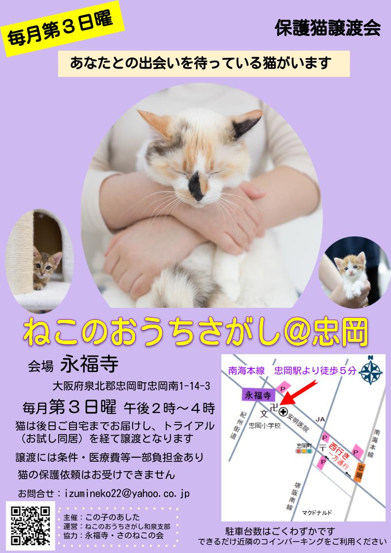 保護猫