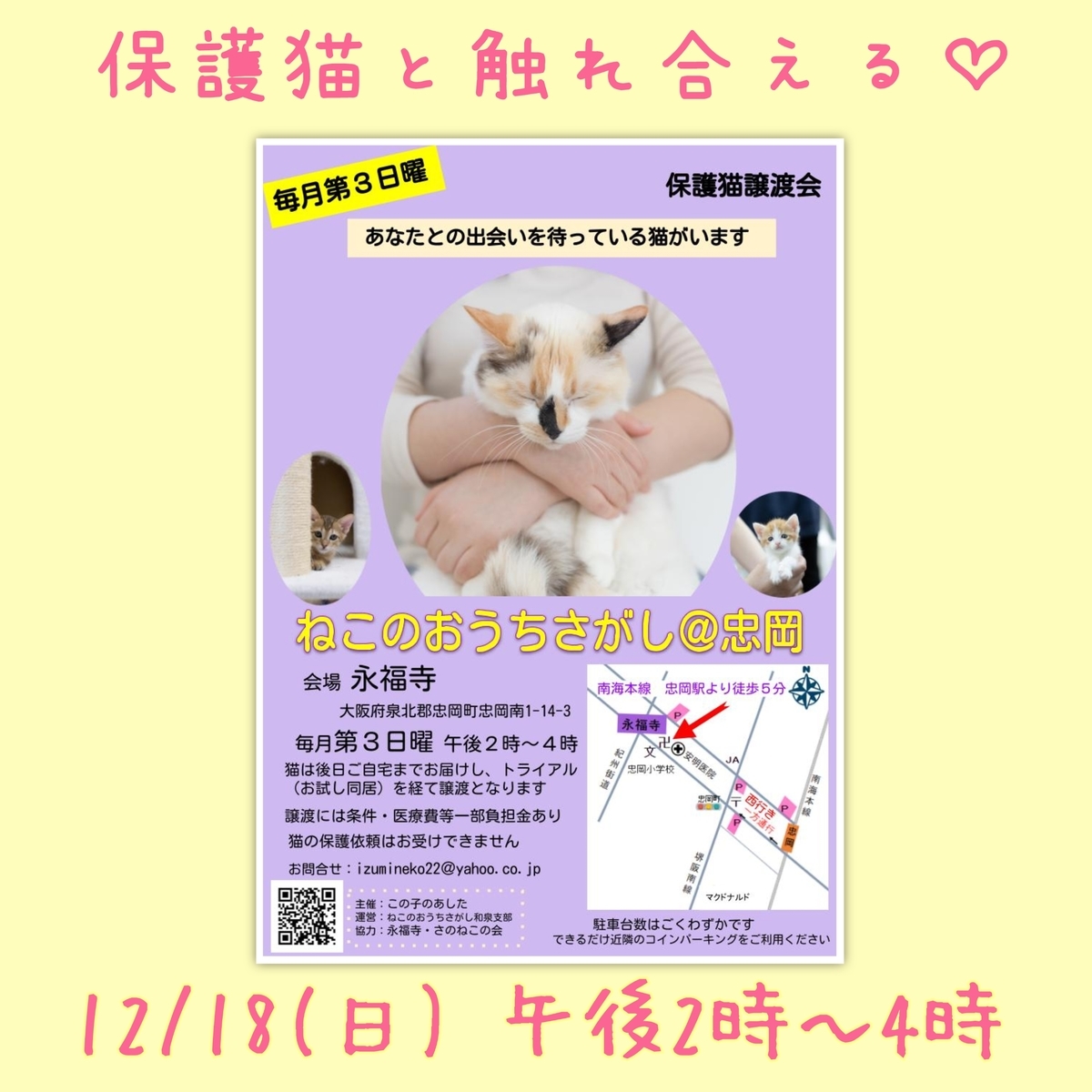 保護猫譲渡会