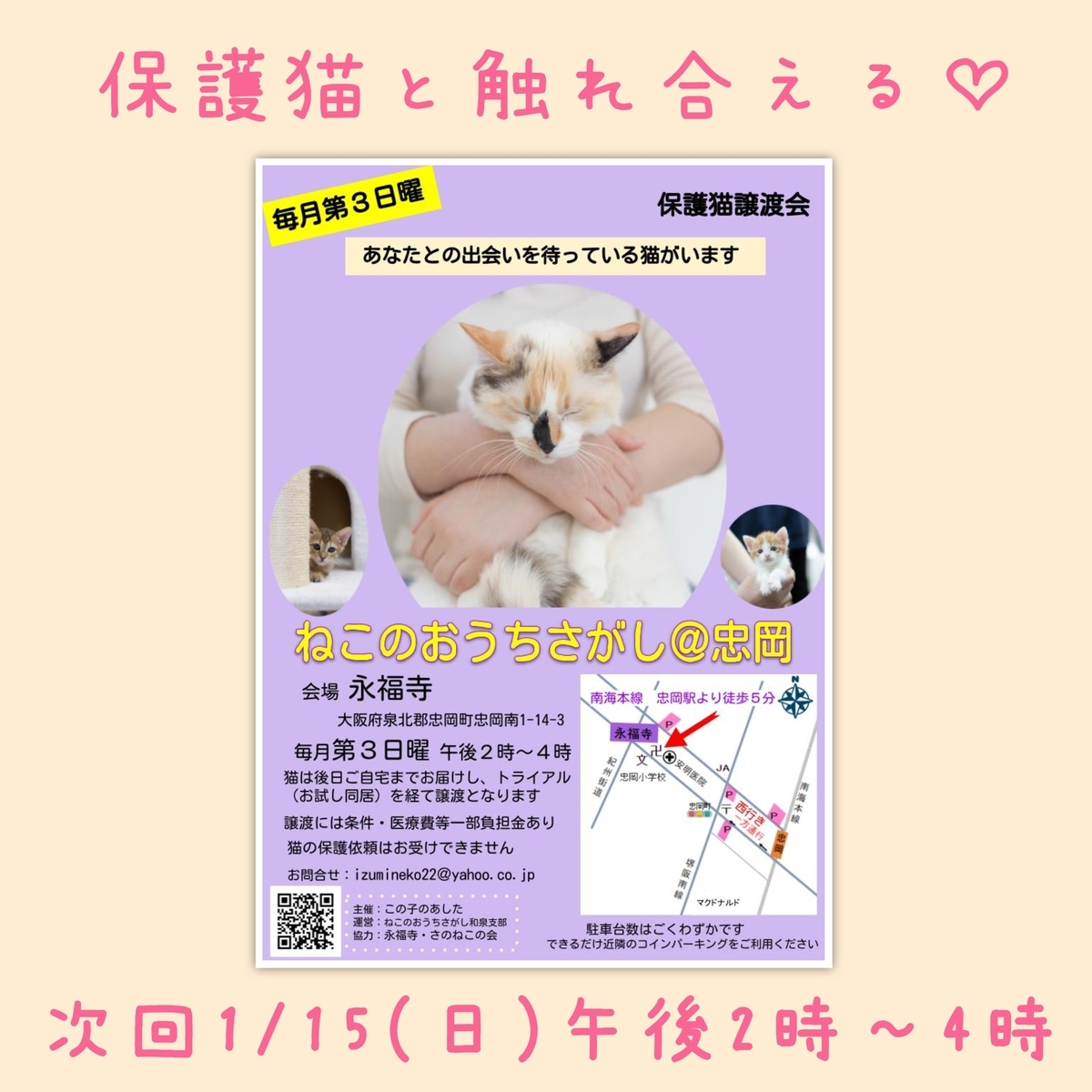 保護猫譲渡会