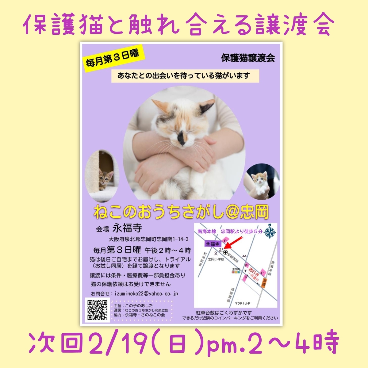 保護猫譲渡会