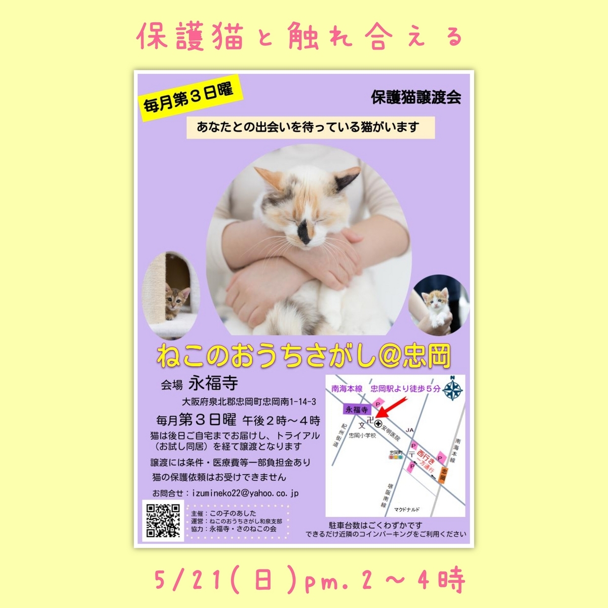 保護猫譲渡会