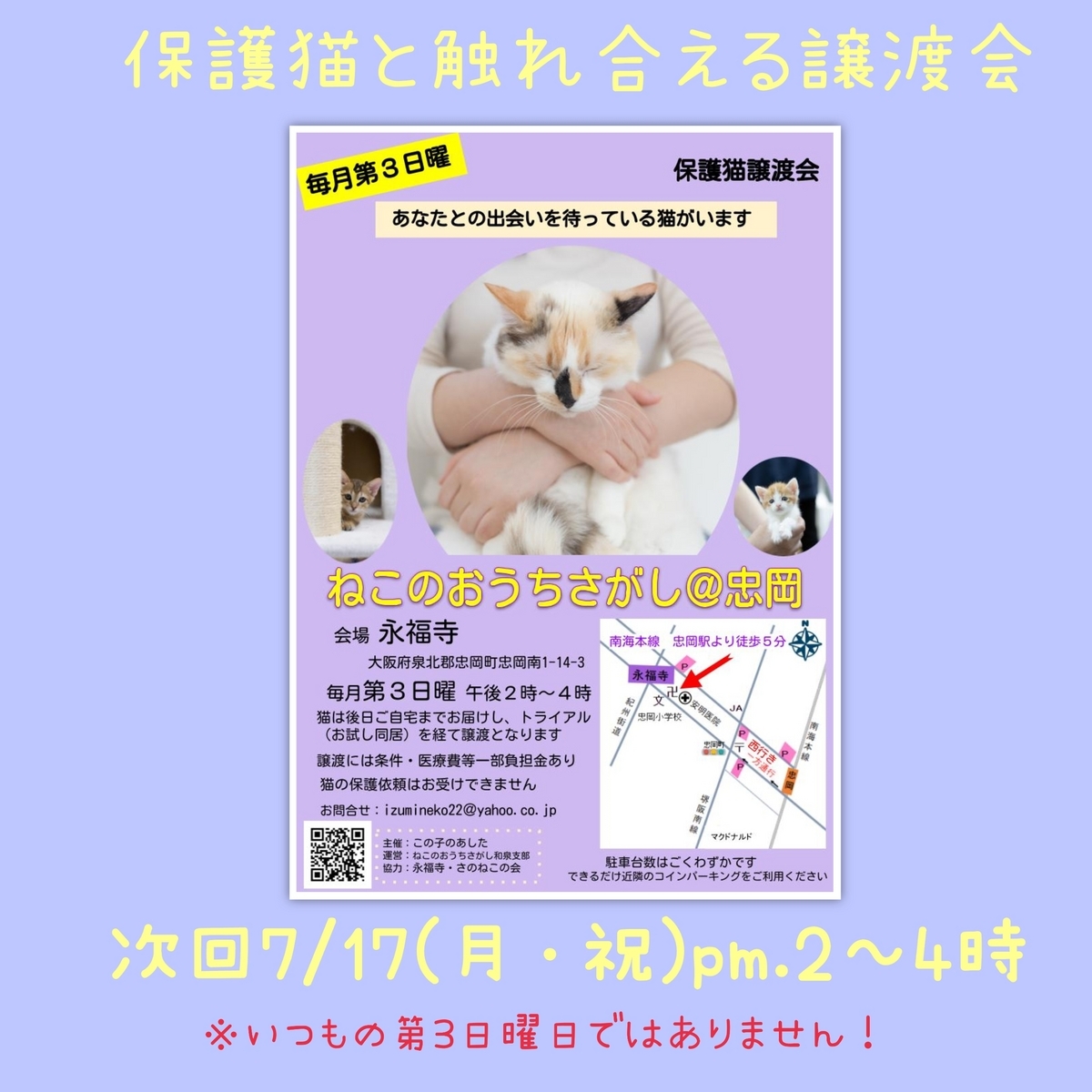 保護猫譲渡会