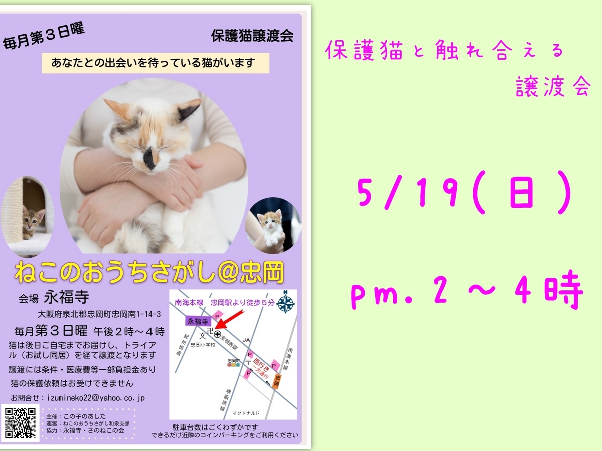 保護猫譲渡会