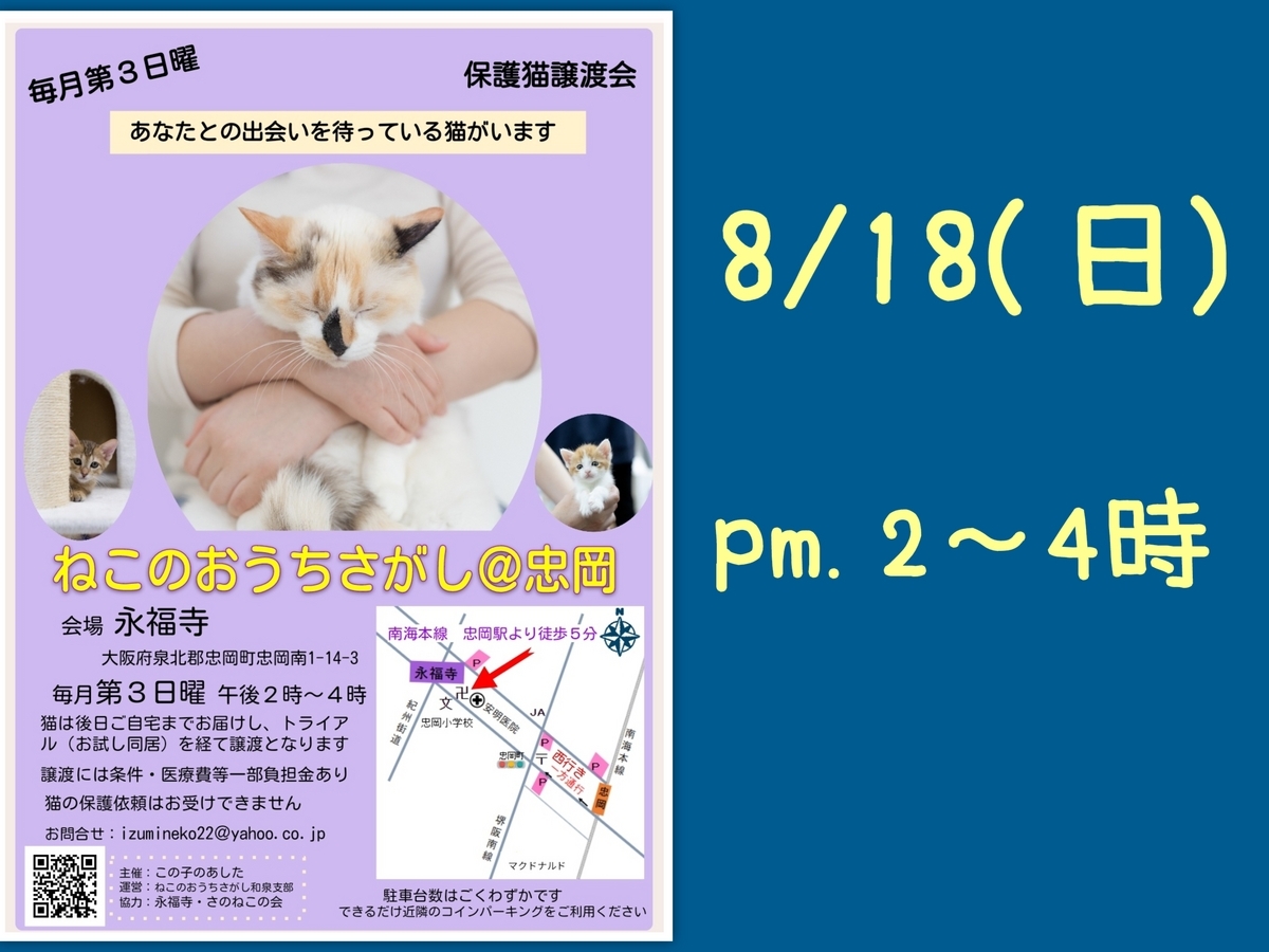 保護猫譲渡会