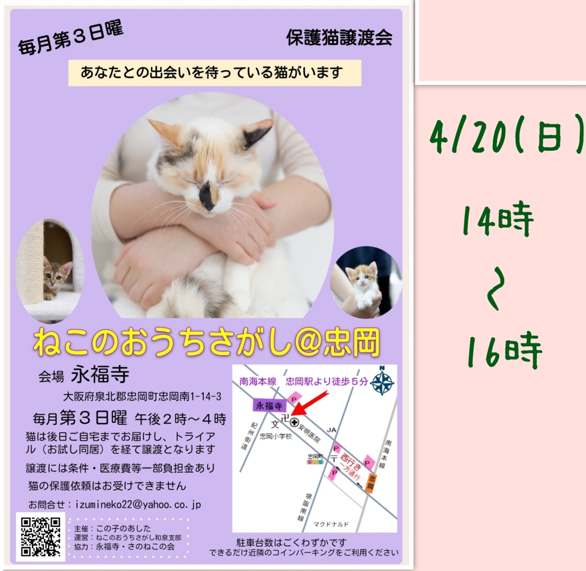 保護猫譲渡会