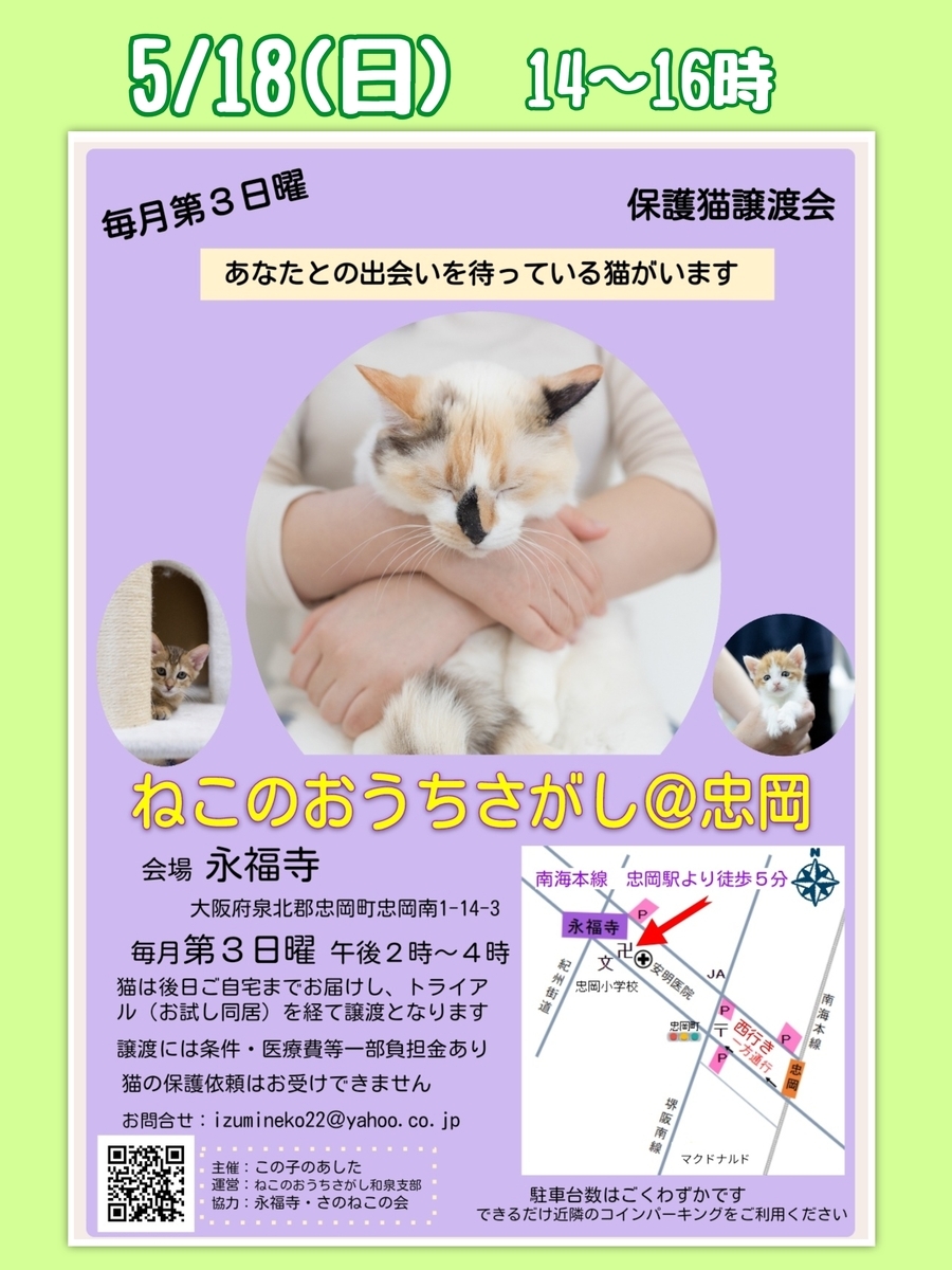 保護猫譲渡会