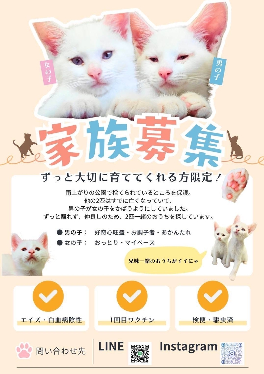 ねこのおうちさがし@忠岡