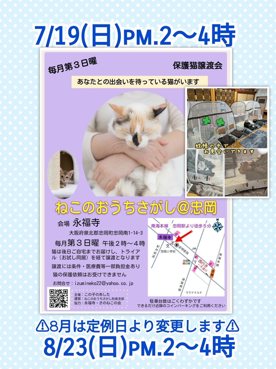 保護猫譲渡会