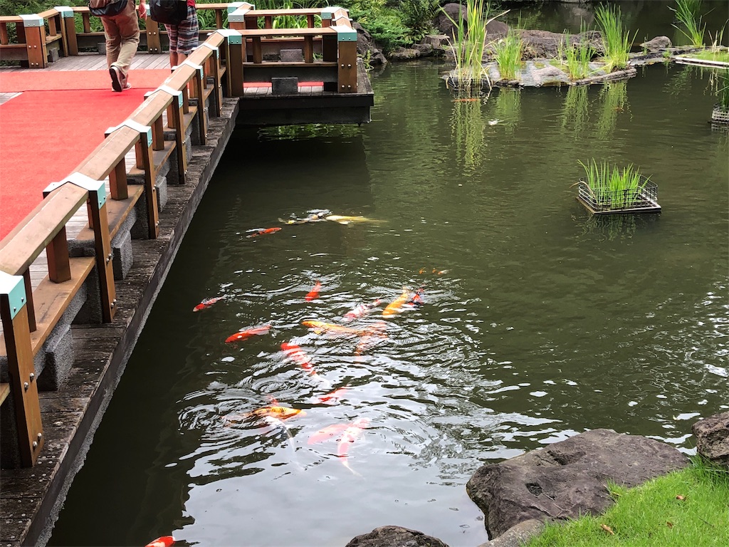 f:id:izumingo:20180814000728j:image