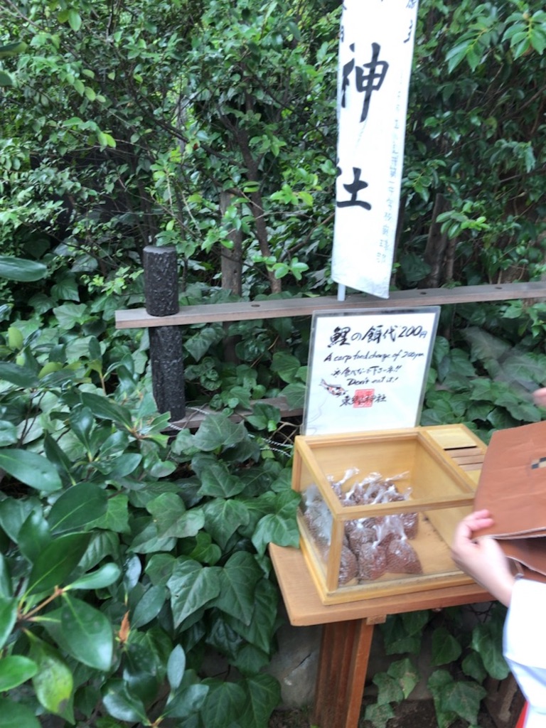f:id:izumingo:20180814000749j:image