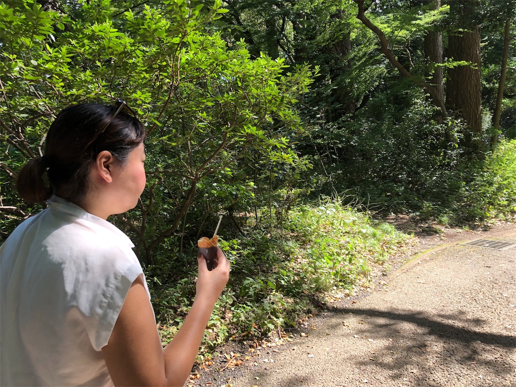 f:id:izumingo:20181007212501j:image