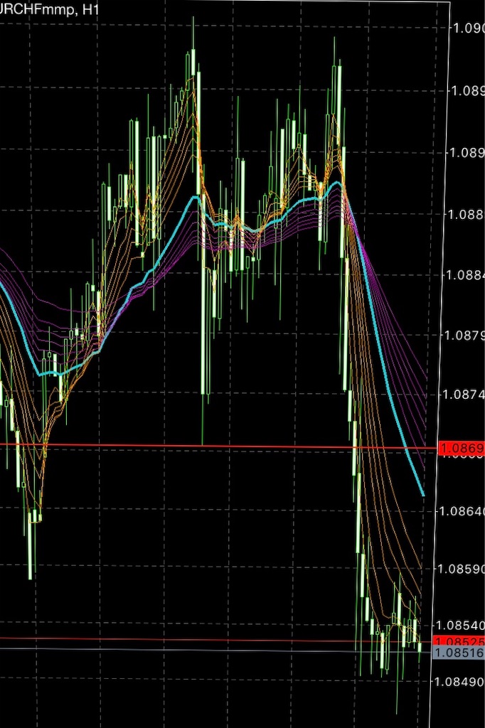 f:id:izuminotoushi:20191231114740j:image