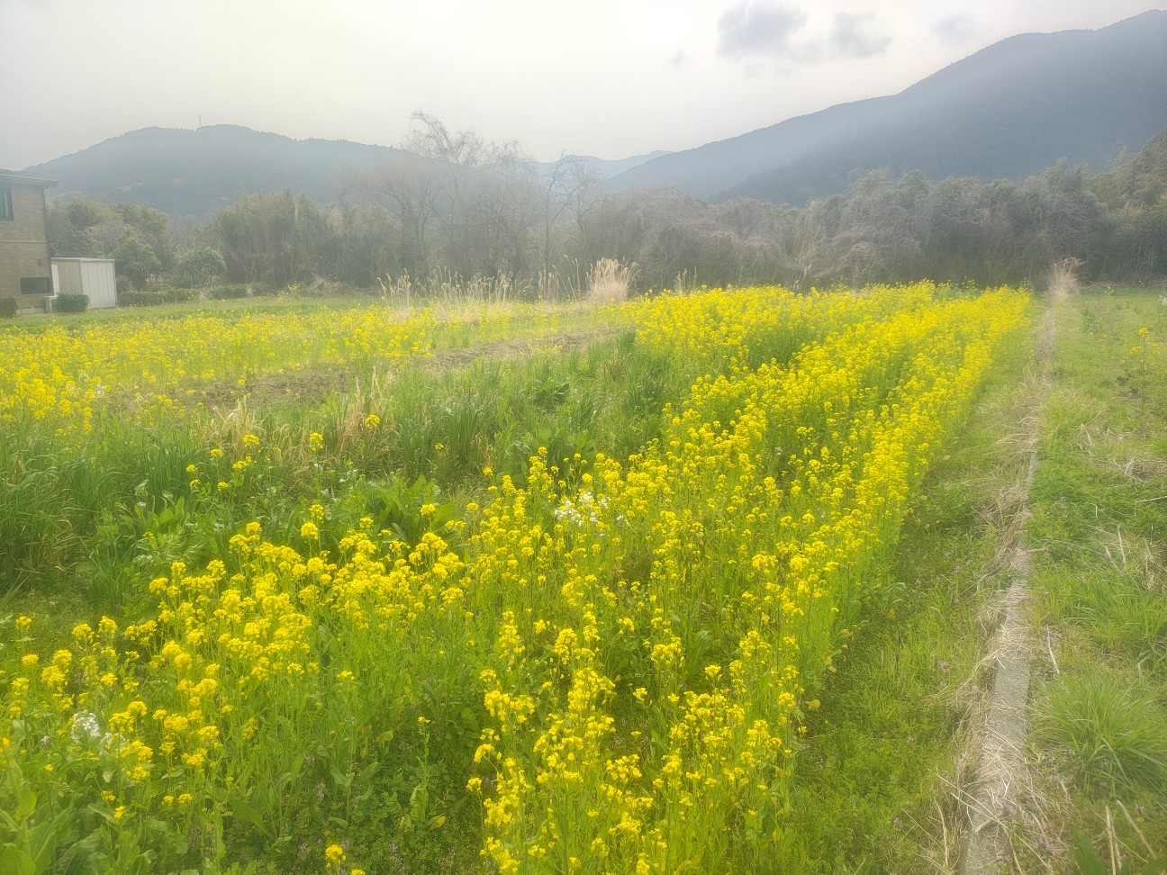 f:id:izumisato:20260328183023j:image f:id:izumisato:20260328183023j:image